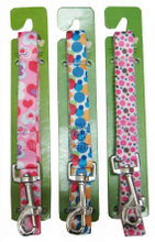 Leash & Collar Lcq0025