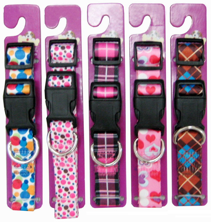 Leash & Collar Lcq0023
